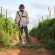 Бензокоса STIHL FS 120, ніж для заростей 250мм-3 (41342000423)