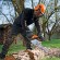 Бензопила STIHL MS 211, 35см (11392000247) Бензопила STIHL MS 211, 35см (11392000247)