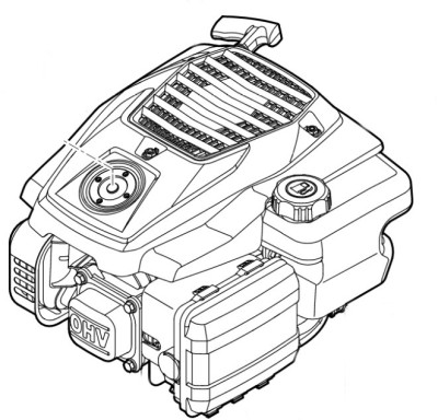 Бензиновый двигатель внутреннего сгорания EVC 200.4 C (62410111836)