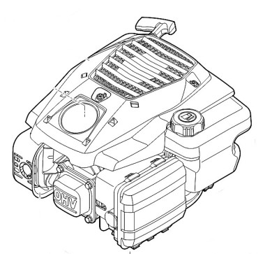 Бензиновый двигатель внутреннего сгорания EVC 200.5 C (WB410111800)