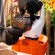 Обприскувач акумуляторний STIHL SGA 30 Set (SA090117014)