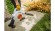Воздуходувка бензиновая STIHL BG 50 (42290111723)