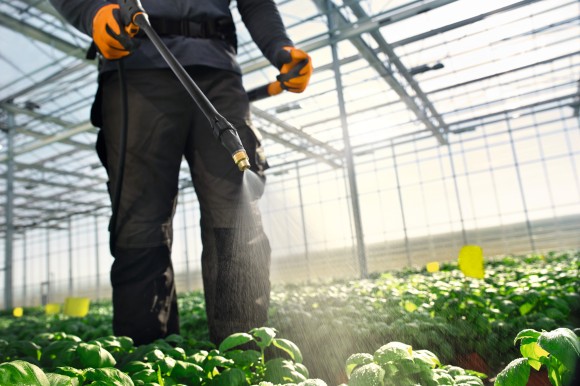 Обприскувач ранцевий STIHL SG 71 (42550194970)