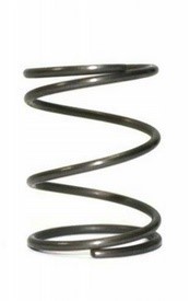 Нажимная пружина (00009972015) Нажимная пружина (00009972015)