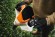 Воздуходувка аккумуляторная STIHL BGA 110 (BA100115904)