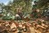 Воздуходувка аккумуляторная STIHL BGA 110 (BA100115904)
