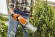 Садовые ножницы аккумуляторные STIHL HSA 26, каркас, нож для кустов 20см, нож для травы 12см (HA030113500) Садовые ножницы аккумуляторные STIHL HSA 26, каркас, нож для кустов 20см, нож для травы 12см (HA030113500)