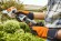 Садовые ножницы аккумуляторные STIHL HSA 26, каркас, нож для кустов 20см, нож для травы 12см (HA030113500) Садовые ножницы аккумуляторные STIHL HSA 26, каркас, нож для кустов 20см, нож для травы 12см (HA030113500)