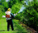 Опрыскиватель бензиновый STIHL SR 420 (42030112619)