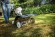 Насадка для удаления мха MF-MM для STIHL MM 56, рабочая ширина 50см (46017404601)(46017404601)