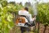 Опрыскиватель бензиновый STIHL SR 450 (42440112641)