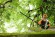 Насадка-высорез из STIHL HT-KM, шина 30 см (41822000160)