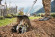 Насадка-культиватор со штоком STIHL BF-KM (46017405000)