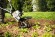 Насадка-разрыхлитель BK-MM для STIHL MM 56, рабочая ширина 22см (46017404606)