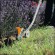 Насадка-кромкорез со штоком STIHL FCB-KM (41807405002)