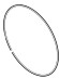Уплотнительное кольцо (VB057092000)