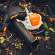 Садовый пылесос аккумуляторный STIHL SHA 140.0 Pro, 36В, каркас (SA070117104)