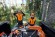 Валочный клин из пластика STIHL, 19см (00008812212)