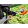 Аккумуляторная коса STIHL FSA 50.0, каркас (FA110115703)