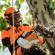 Акумуляторна пила STIHL MSA 161T Pro, 30 см, каркас (12522000068)
