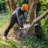 Акумуляторна пила STIHL MSA 220C-BQ Pro, 40 см, каркас (MA032000023)