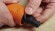 Насадка для быстрой чистки больших поверхностей STIHL RA 110 (49105003903)