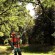 Высоторез электрический STIHL HTE 60 (48102000016)