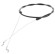 Ciegno (63587007532)