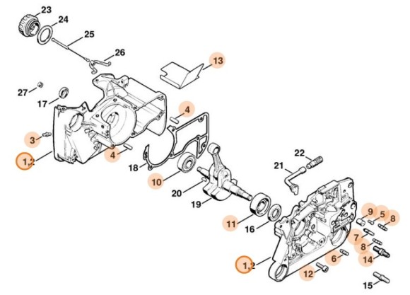Картер (11220202116)