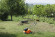 Аэратор бензиновый STIHL RL 540, ширина захвата 38см (62900113105)