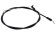 Ciegno (63747007500)