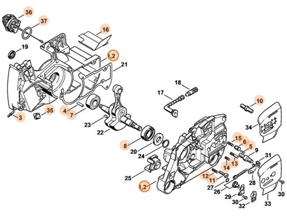 Картер (11280202123)