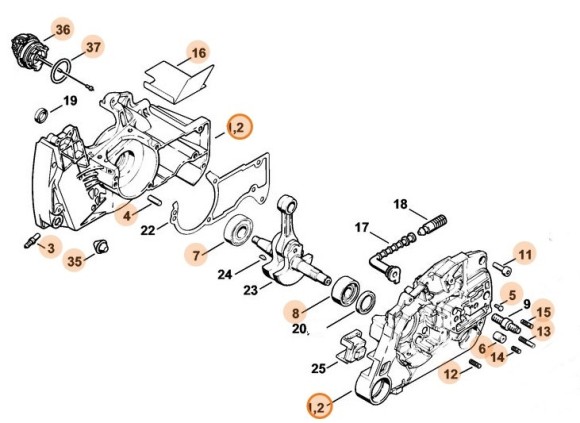 Картер (11280202138)