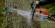Шина STIHL LIGHT 04 Rollomatic E 37 см, 3/8", 1,6 мм, 56 z (30030006111)