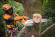 Аккумуляторная пила STIHL MSA 220T Pro, 35 см, каркас (MA012000027)