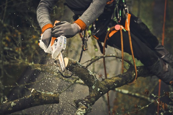 Шина STIHL 15см 1.1мм 1/4"P L01 (30080000202)