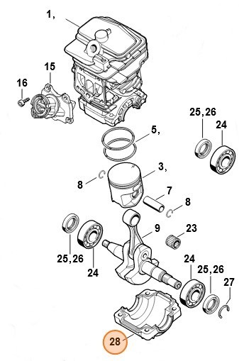 Картер (11430212502)