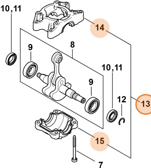 Картер (11480202104)