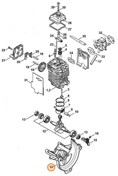Картер (41800212500)