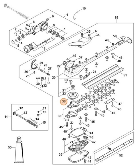 Мимосрод (42436401600)