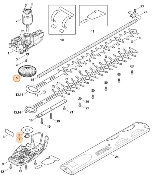 Мимосрод (45216401600)