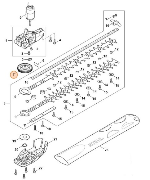 Мимосрод (45216401604)