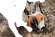 Мийка високого тиску STIHL RE 120, 120 бар (49500114541) Мийка високого тиску STIHL RE 120, 120 бар (49500114541)