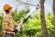 Удлинитель-высоторез для STIHL GTA 26 (GA018205000)