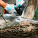 Бензопила STIHL MS 194T, 30см (11372000335)