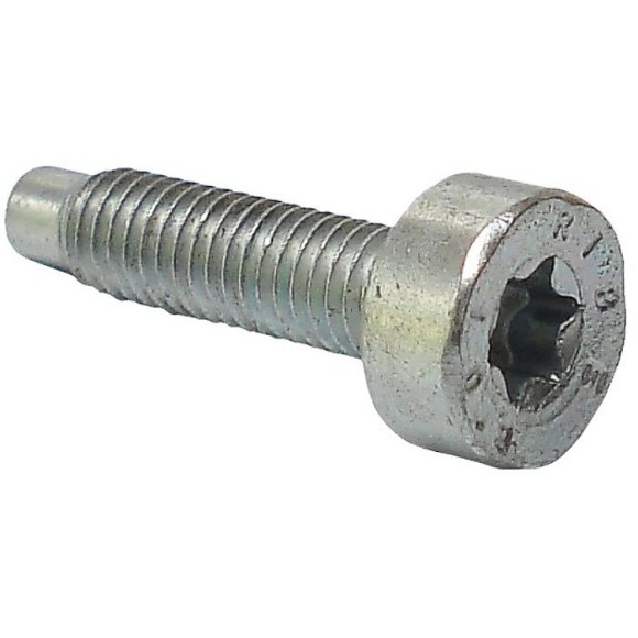 Винт IS М5х20 STIHL 00009511109
