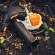 Садовый пылесос аккумуляторный STIHL SHA 140.0 Pro, 36В, каркас (SA070117104) Садовый пылесос аккумуляторный STIHL SHA 140.0 Pro, 36В, каркас (SA070117104)