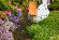 Триммер аккумуляторный STIHL FSA 30, каркас, кос. головка PolyСut 3-2 (FA100115700)