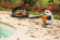 Воздуходувка бензиновая STIHL BG 50 (42290111723)