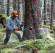Бензопила STIHL MS 462, 45см (11422000001)